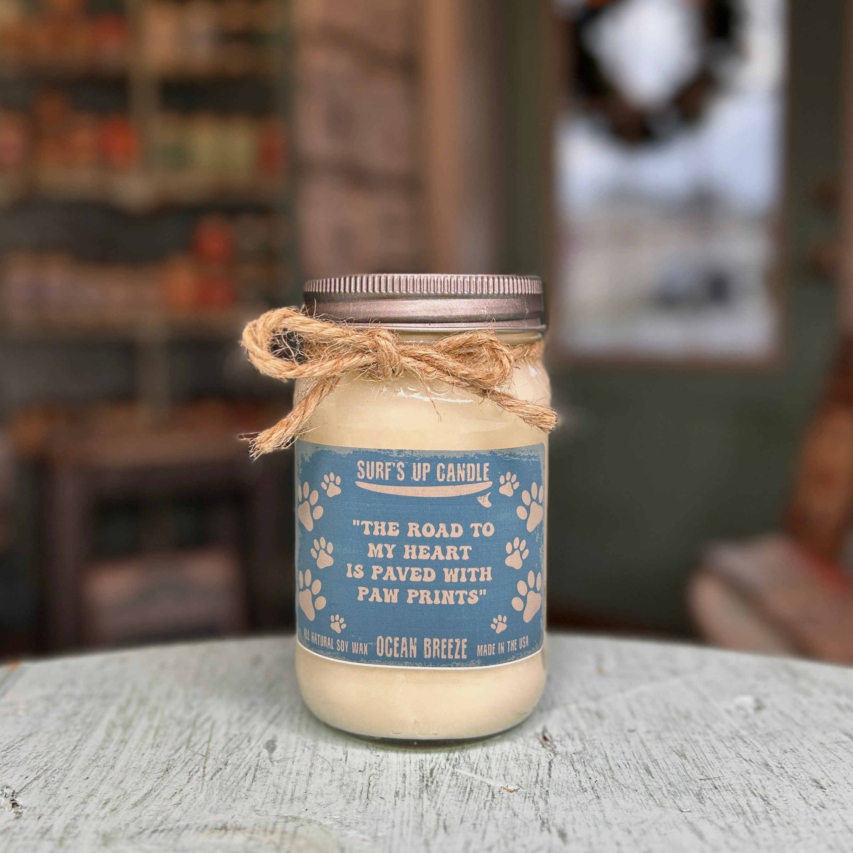 Salty Snouts Mason Jar Candle Trio - Paw-some Scents Collection