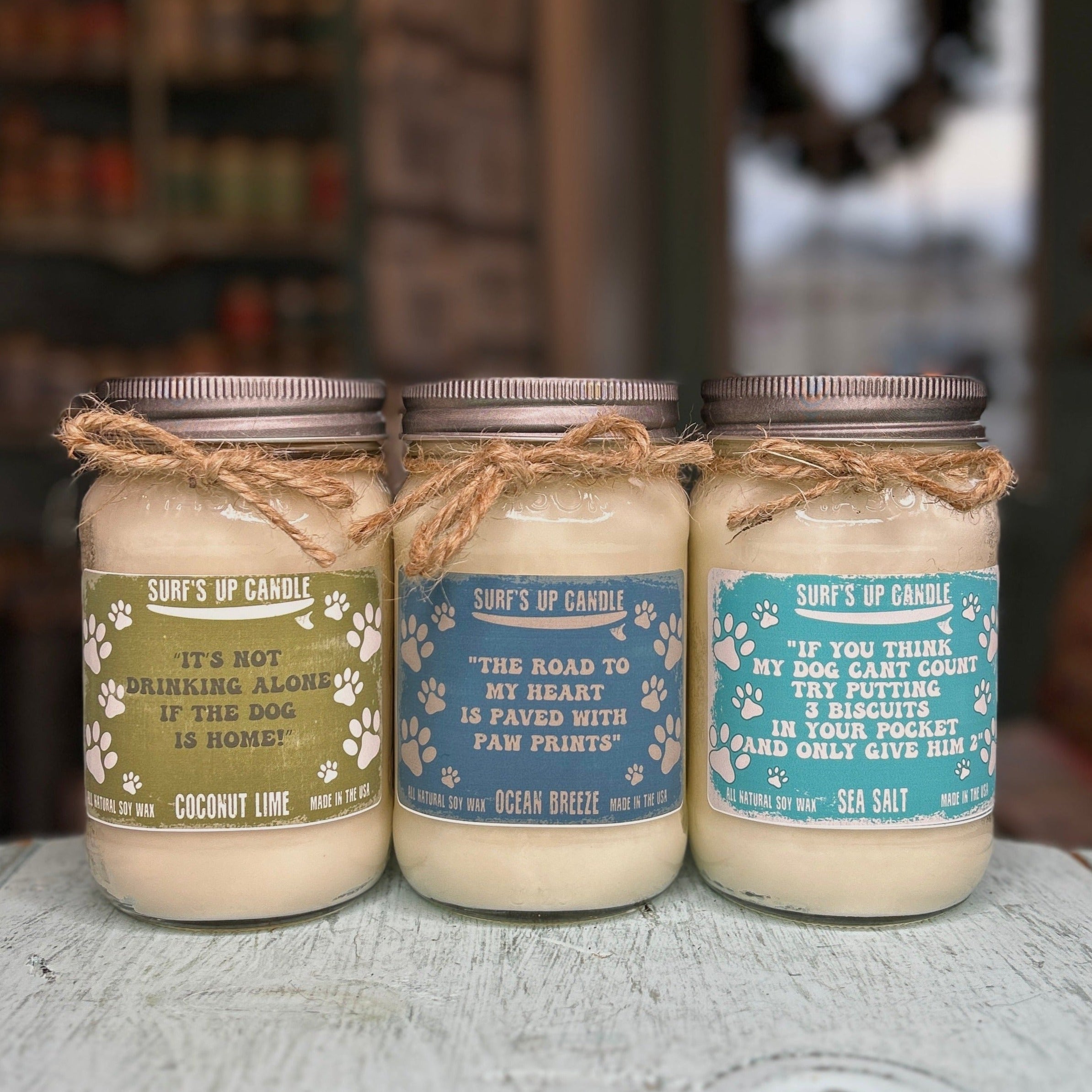 Salty Snouts Mason Jar Candle Trio - Paw-some Scents Collection